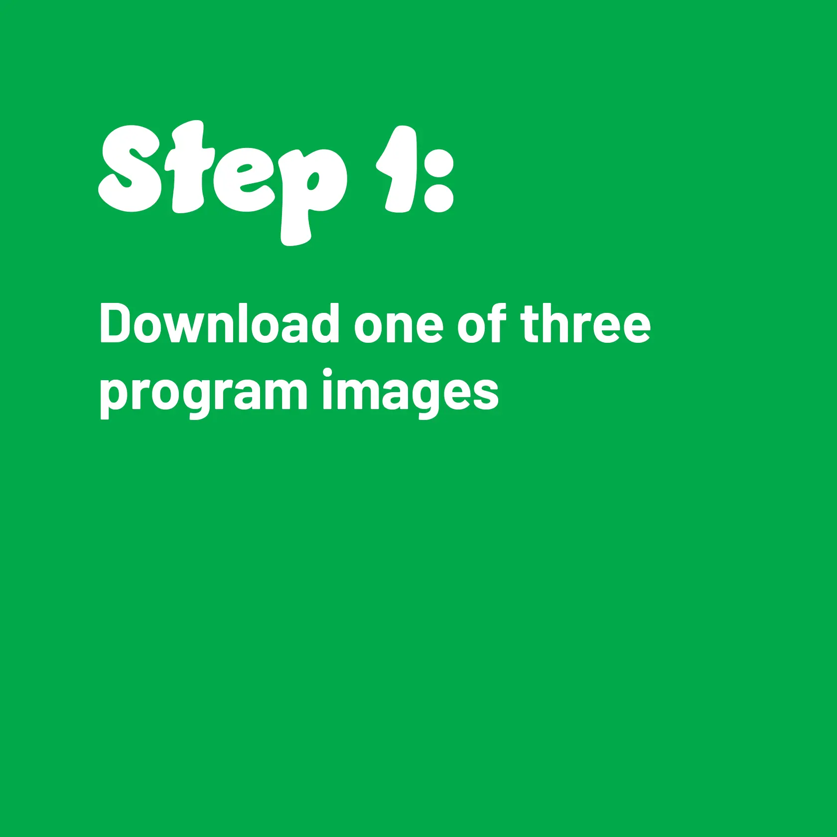 Step 1: Download one of three program images